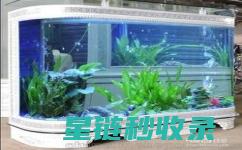 鱼缸清洁的重要性：为什么不能忽视它？ (鱼缸清洁的重量是多少)